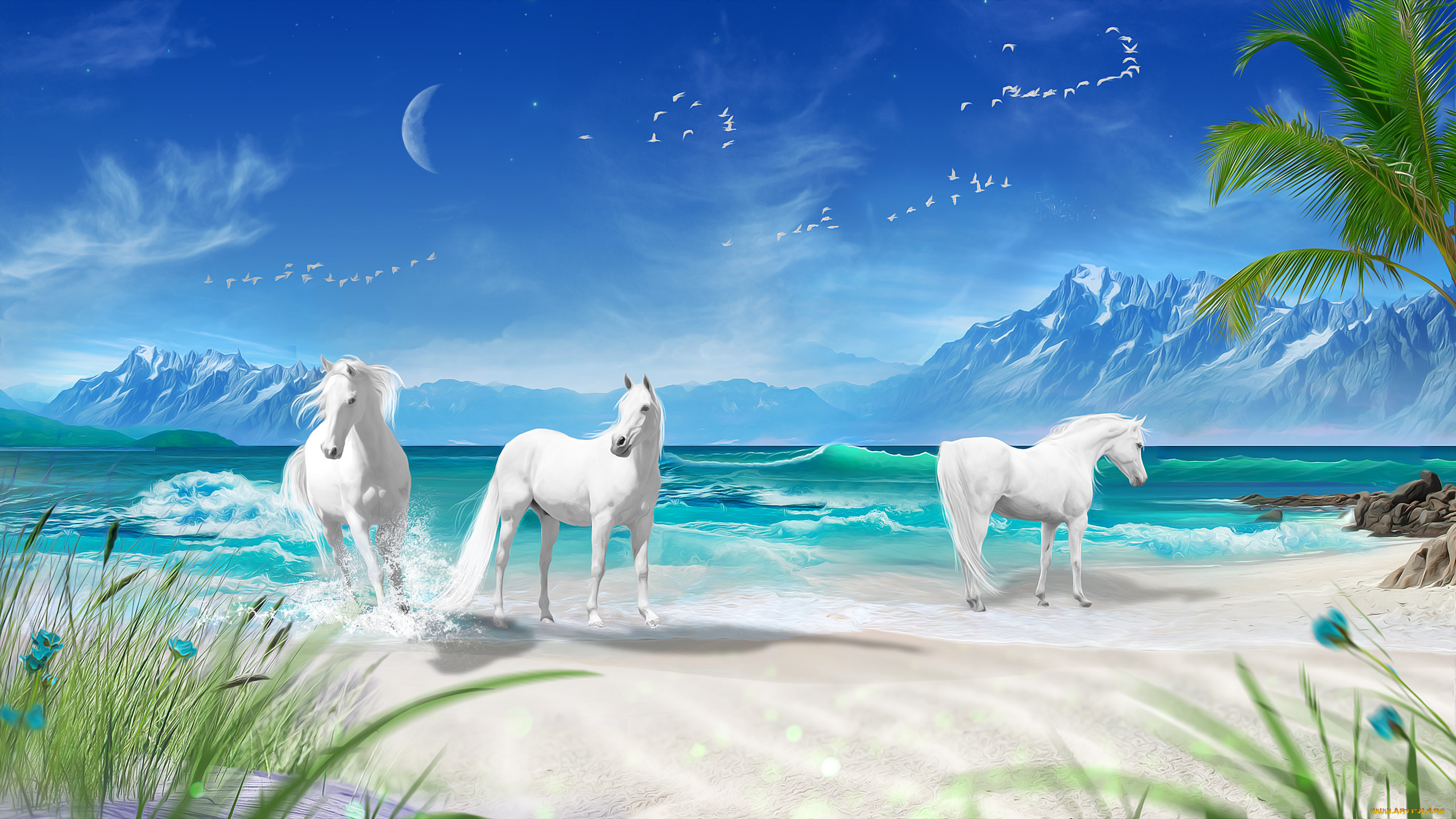  ,  , animals, , 